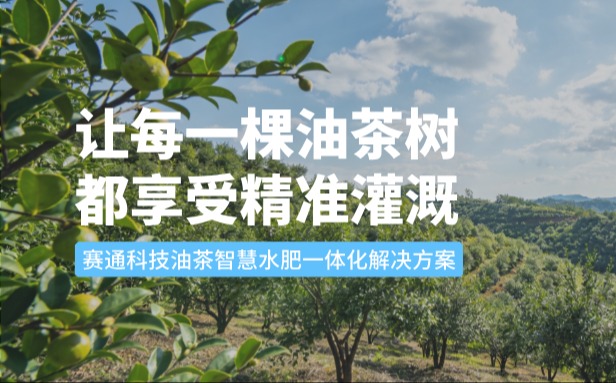 赛通科技油茶Ebpay(中国)水肥一体化解决方案：让每一棵油茶树都享受精准灌溉
